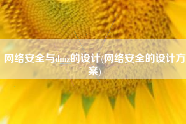 网络安全与dmz的设计(网络安全的设计方案)