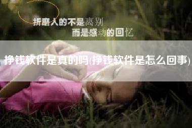 挣钱软件是真的吗(挣钱软件是怎么回事)