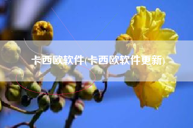 卡西欧软件(卡西欧软件更新)