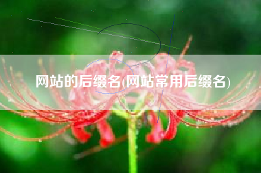 网站的后缀名(网站常用后缀名)