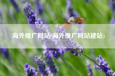海外推广网站(海外推广网站建站)