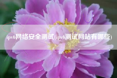 ipv6网络安全测试(ipv6测试网站有哪些)