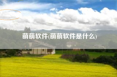 萌萌软件(萌萌软件是什么)