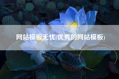 网站模板无忧(优秀的网站模板)