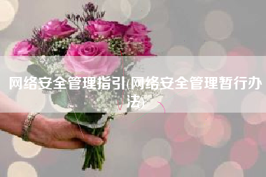 网络安全管理指引(网络安全管理暂行办法)