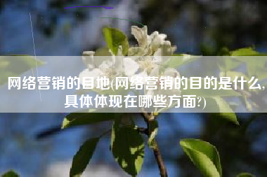 网络营销的目地(网络营销的目的是什么,具体体现在哪些方面?)