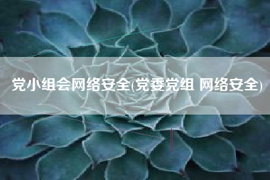 党小组会网络安全(党委党组 网络安全)