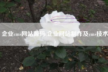 企业cms网站源码(企业网站制作及cms技术)
