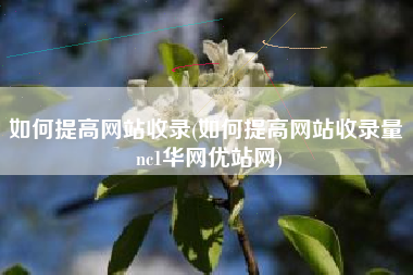 如何提高网站收录(如何提高网站收录量 nc1华网优站网)