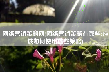 网络营销策略网(网络营销策略有哪些?应该如何使用这些策略)