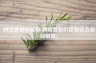 网络营销的促销(网络营销的促销组合名词解释)
