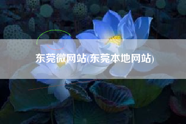 东莞微网站(东莞本地网站)