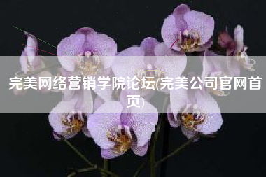 完美网络营销学院论坛(完美公司官网首页)