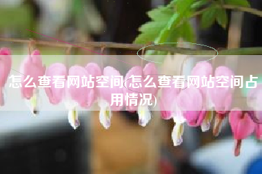 怎么查看网站空间(怎么查看网站空间占用情况)