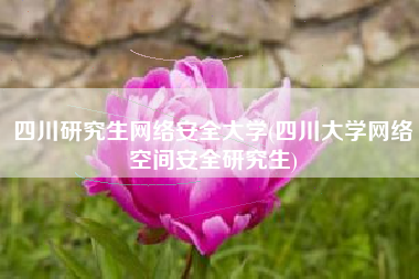 四川研究生网络安全大学(四川大学网络空间安全研究生)