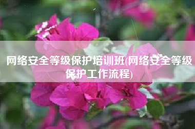 网络安全等级保护培训班(网络安全等级保护工作流程)
