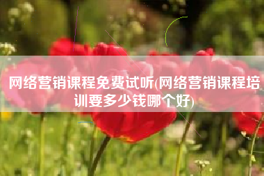 网络营销课程免费试听(网络营销课程培训要多少钱哪个好)