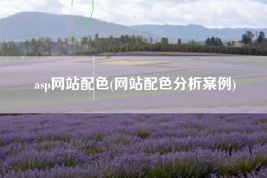 asp网站配色(网站配色分析案例)