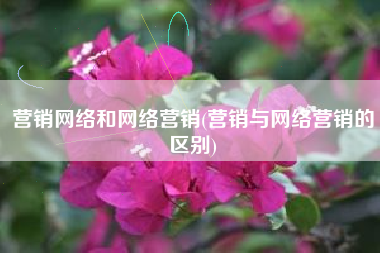 营销网络和网络营销(营销与网络营销的区别)