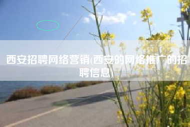 西安招聘网络营销(西安的网络推广的招聘信息)