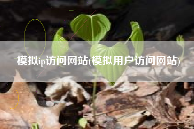 模拟ip访问网站(模拟用户访问网站)