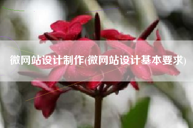 微网站设计制作(微网站设计基本要求)