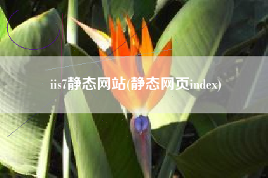 iis7静态网站(静态网页index)