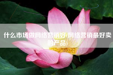 什么市场做网络营销好(网络营销最好卖的产品)