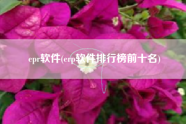 epr软件(erp软件排行榜前十名)
