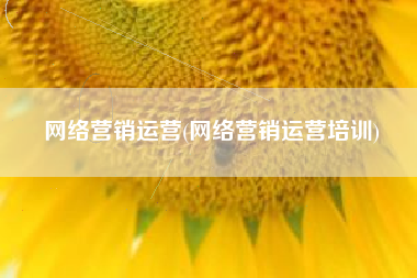 网络营销运营(网络营销运营培训)