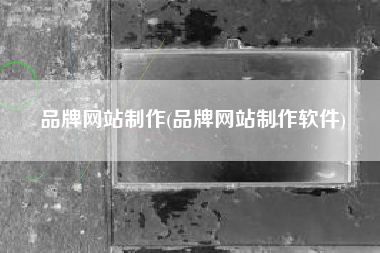 品牌网站制作(品牌网站制作软件)