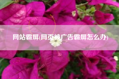 网站霸屏(网页被广告霸屏怎么办)