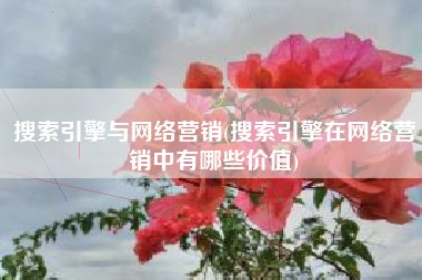 搜索引擎与网络营销(搜索引擎在网络营销中有哪些价值)