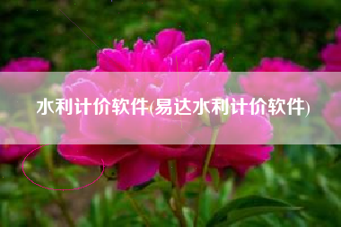水利计价软件(易达水利计价软件)