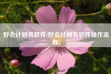 好会计财务软件(好会计财务软件操作流程)