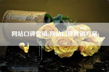 网站口碑营销(网站口碑营销方案)
