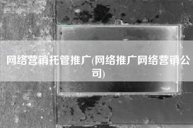 网络营销托管推广(网络推广网络营销公司)
