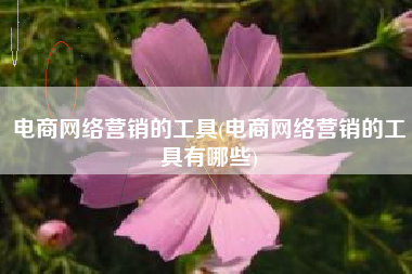 电商网络营销的工具(电商网络营销的工具有哪些)