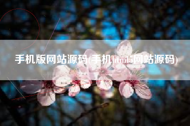 手机版网站源码(手机html5网站源码)