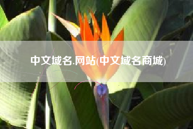 中文域名.网站(中文域名商城)