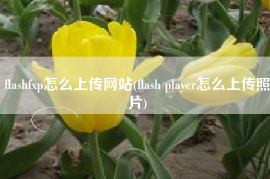 flashfxp怎么上传网站(flash player怎么上传照片)