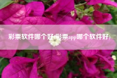 彩票软件哪个好(彩票app哪个软件好)