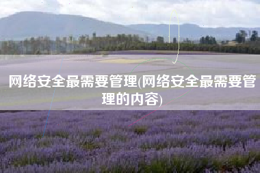 网络安全最需要管理(网络安全最需要管理的内容)