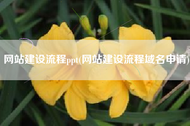 网站建设流程ppt(网站建设流程域名申请)