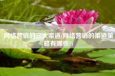 网络营销的三大渠道(网络营销的渠道策略有哪些?)