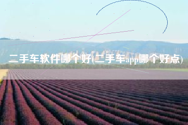 二手车软件哪个好(二手车app哪个好点)