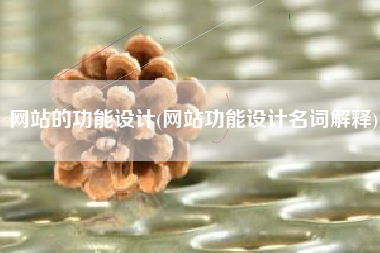 网站的功能设计(网站功能设计名词解释)