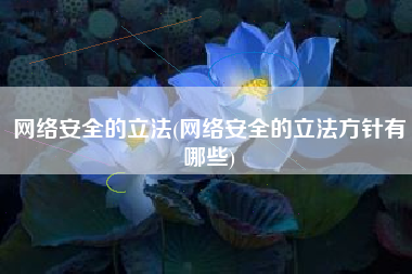 网络安全的立法(网络安全的立法方针有哪些)