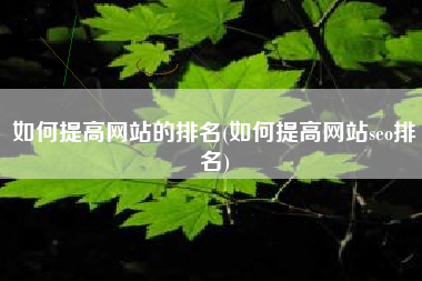 如何提高网站的排名(如何提高网站seo排名)