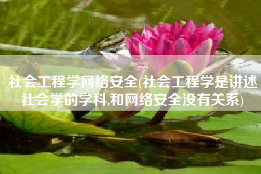 社会工程学网络安全(社会工程学是讲述社会学的学科,和网络安全没有关系)